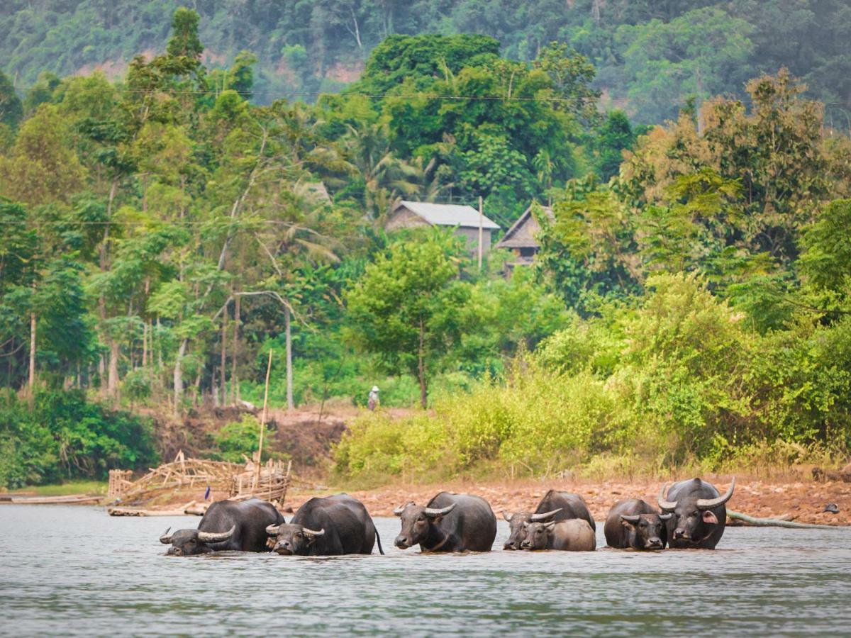 Muang La Lodge Dış mekan fotoğraf