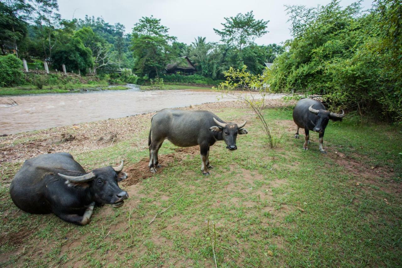 Muang La Lodge Dış mekan fotoğraf